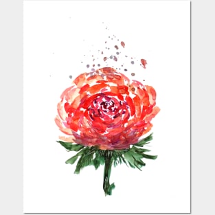 Red Rose with Splashes Posters and Art